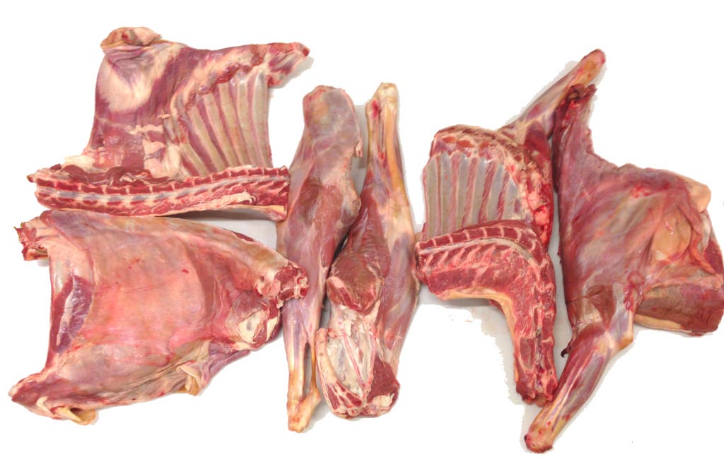 Frozen Goat Carcass 6 Way Cuts IWP Halal