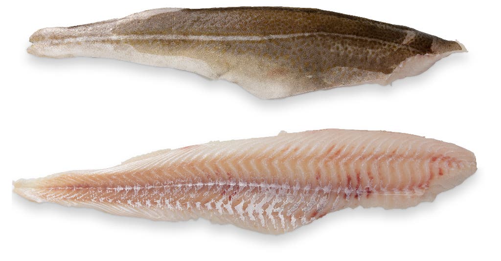 Pacific Cod Fillet 16-32 oz. (450-910 gr.) 80% NW Skin On Pinbone In MSC
