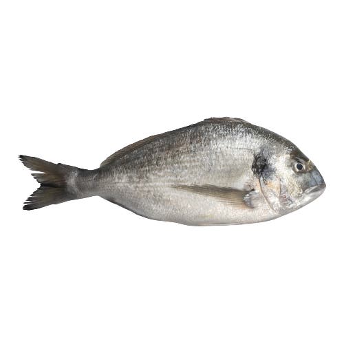Gilt-head Bream Frozen 300-400 gr. 80% NW Whole Gutted & Descaled