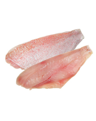 Atlantic Redfish Fillet 100-150 gr 75% NW Skin On Boneless IQF