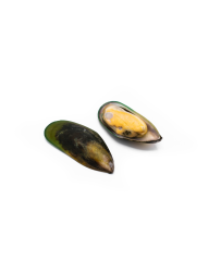 Mussels 30-40 100% NW Green Lip Half Shell IQF