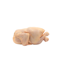 Chicken Griller Iwp -Halal-